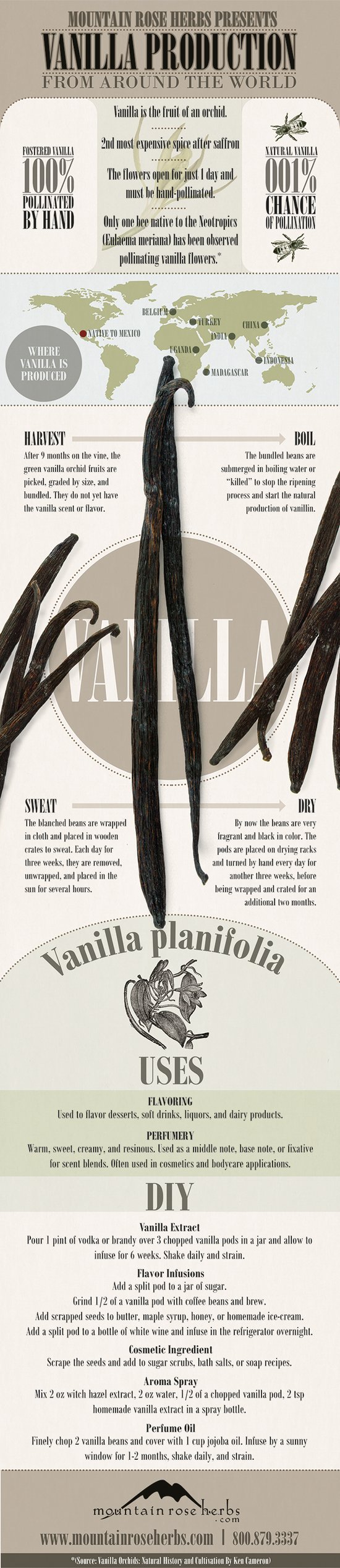 All About Vanilla!